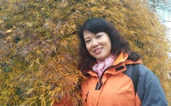 一本道理在线不卡免费